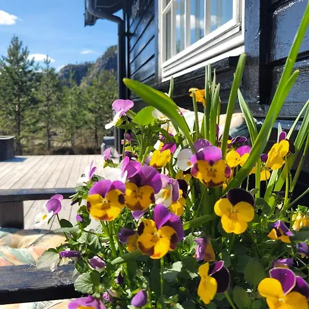 Feriehus With Wildlife And Hiking Trails Mjåvatn