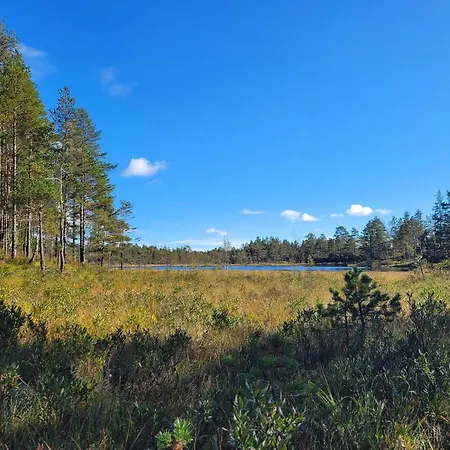 With Wildlife And Hiking Trails * Mjåvatn